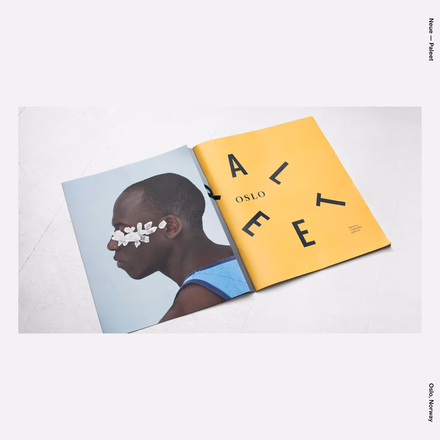 Neue — Paleet