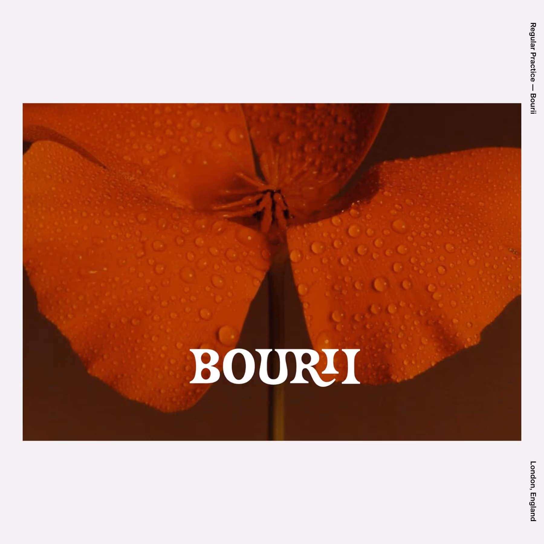 Regular Practice — Bourii