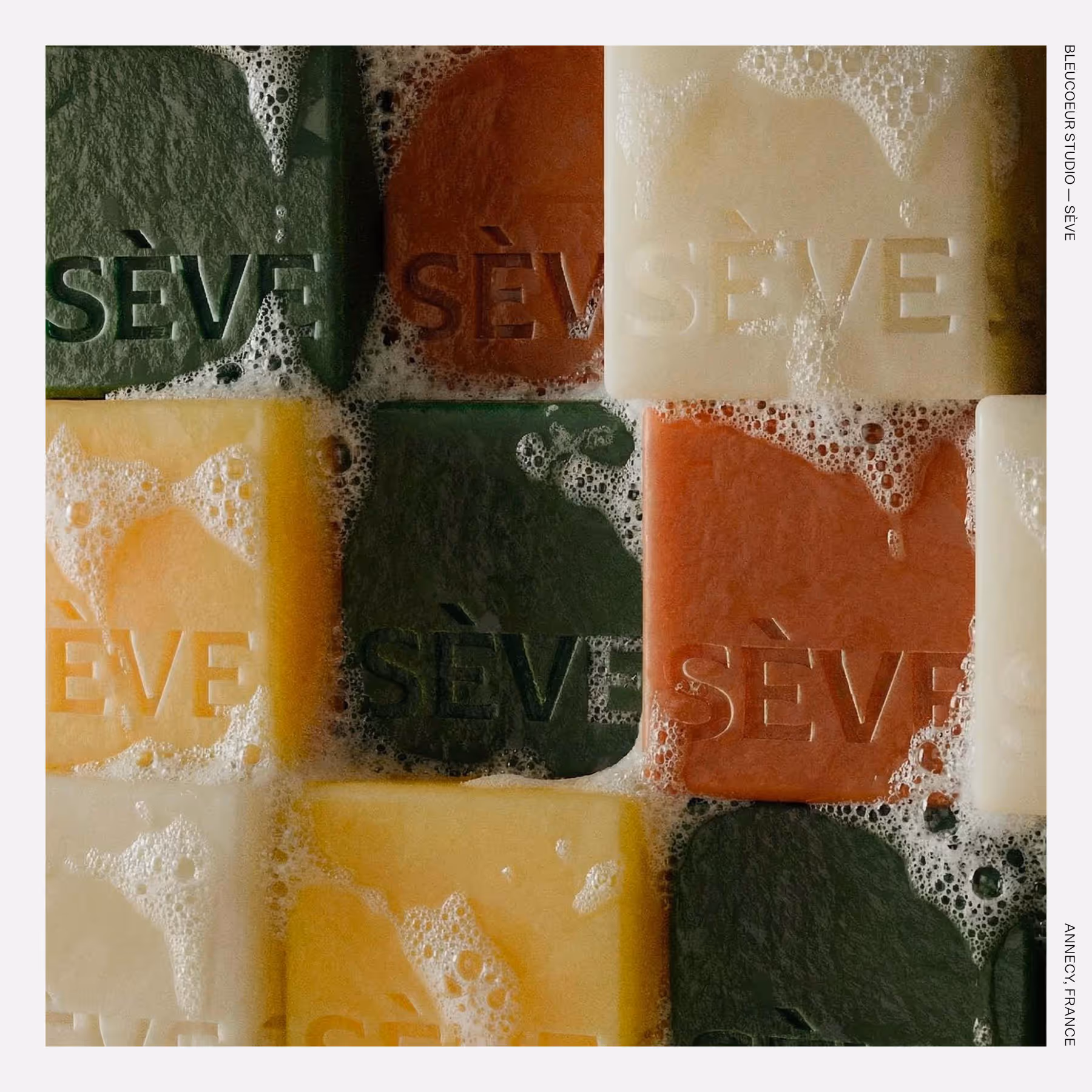 Bleucoeur Studio — Sève