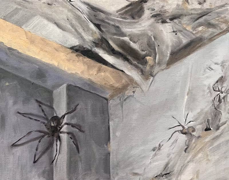 A ceiling corner with thick cobwebs, a giant spider and several smaller spiders.