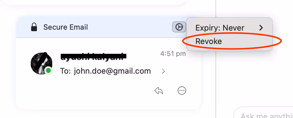 Can you unsend an email - Canary Mail Revoke 5