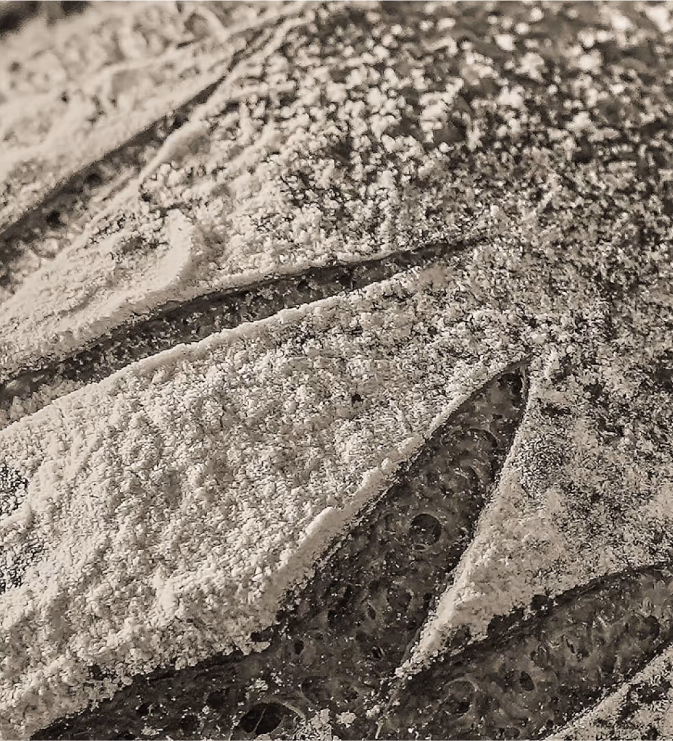 Close up image of details of sourdough