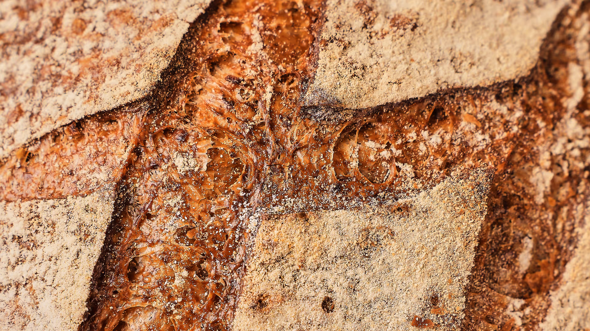 Close up details of bread