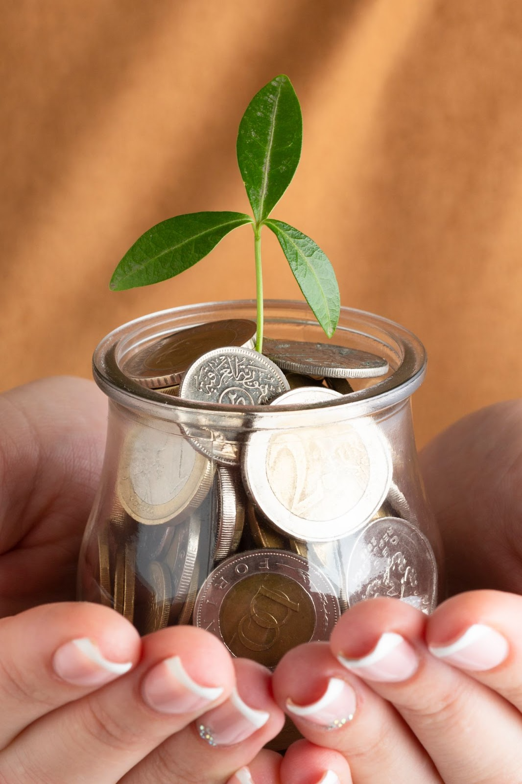 Manos sosteniendo un frasco de vidrio lleno de monedas con una planta verde brotando del centro, simbolizando crecimiento financiero e inversión