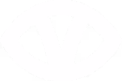 eye icon