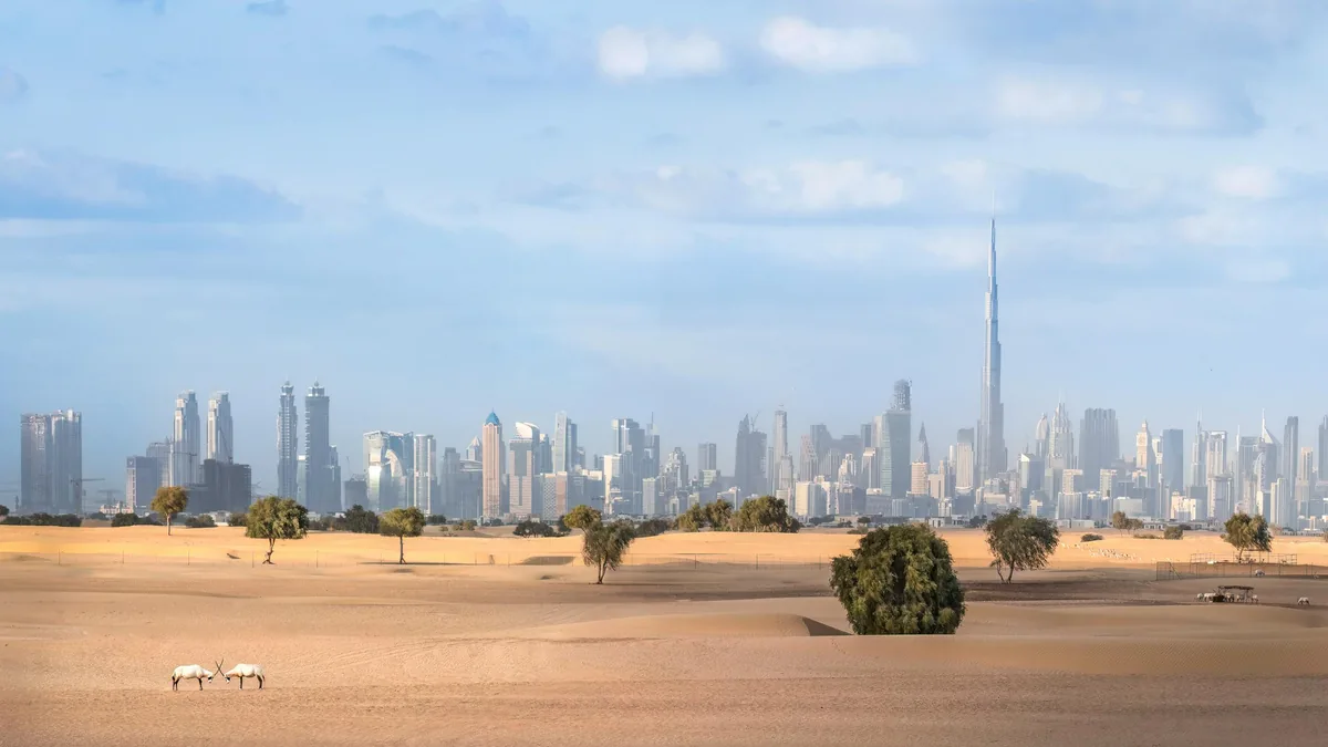 Kde končí legální daňové plánování přes UAE struktury