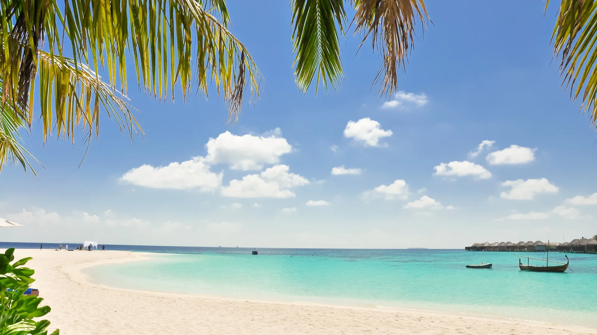 Palm trees and an empty beach on a tropical island, the classic image of an offshore tax haven