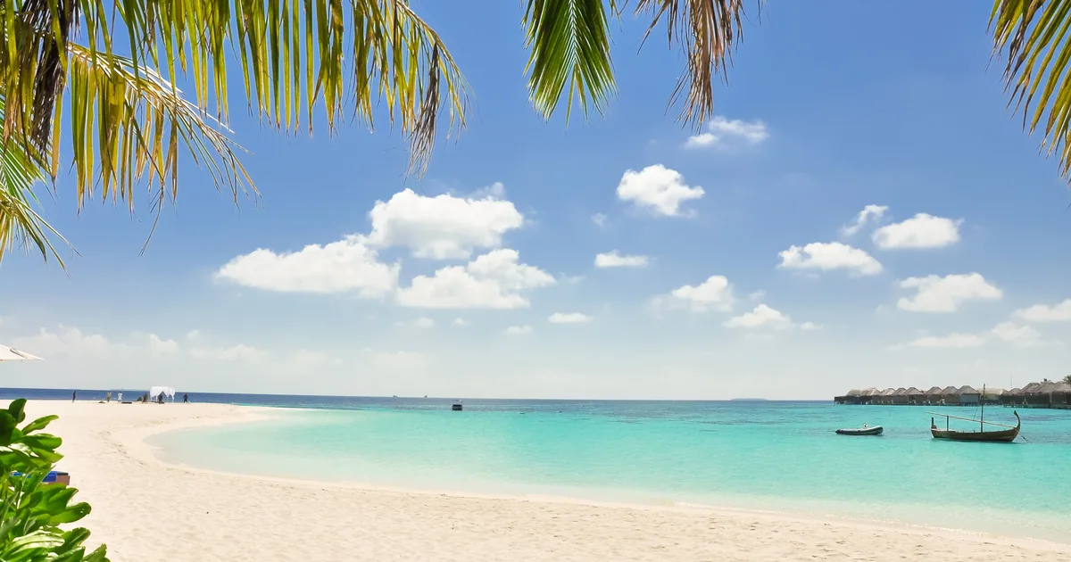 Palm trees and an empty beach on a tropical island, the classic image of an offshore tax haven