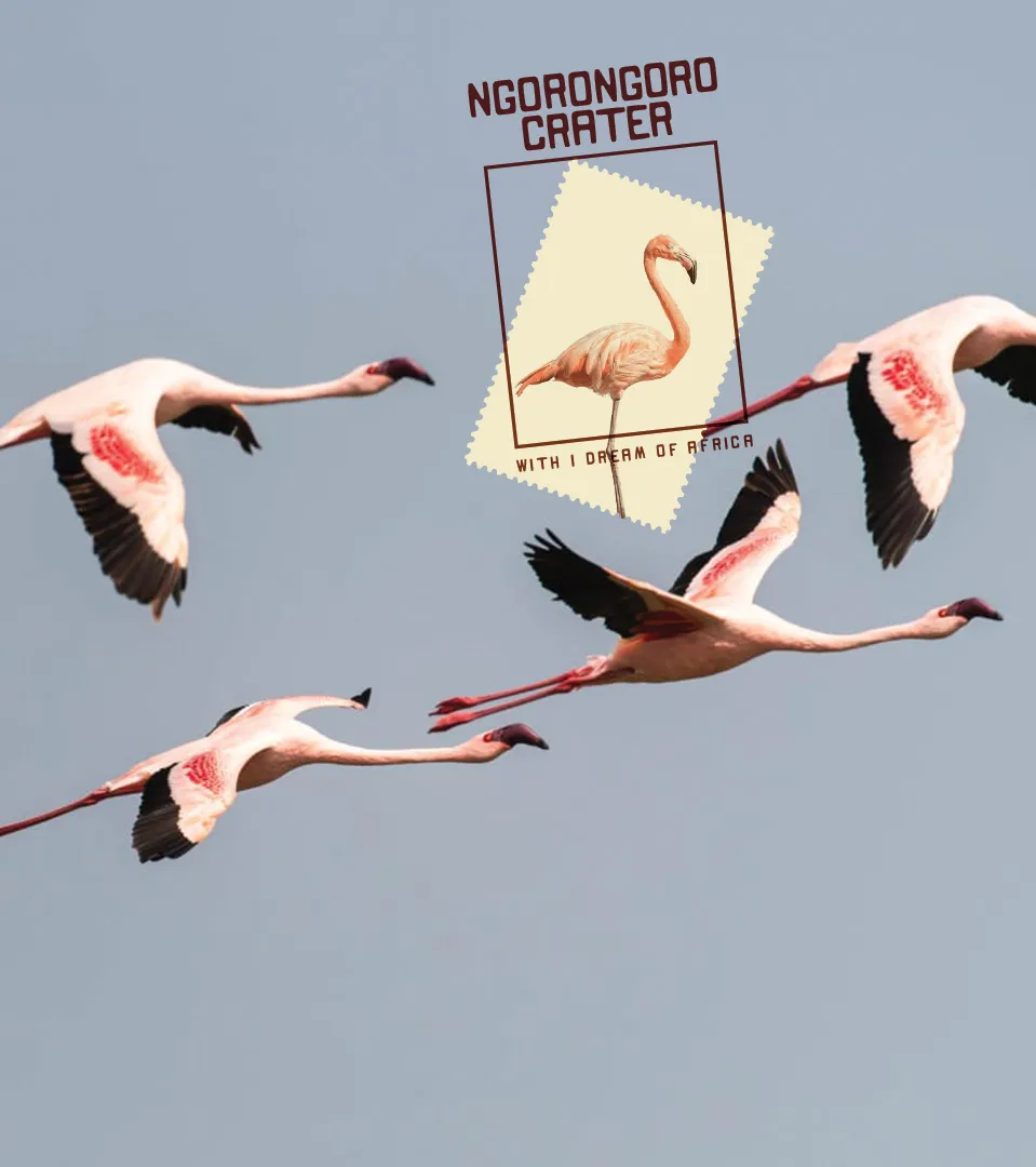 4 Flamingos fly against the blue sky