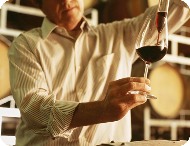 💫  Milestone Rewards