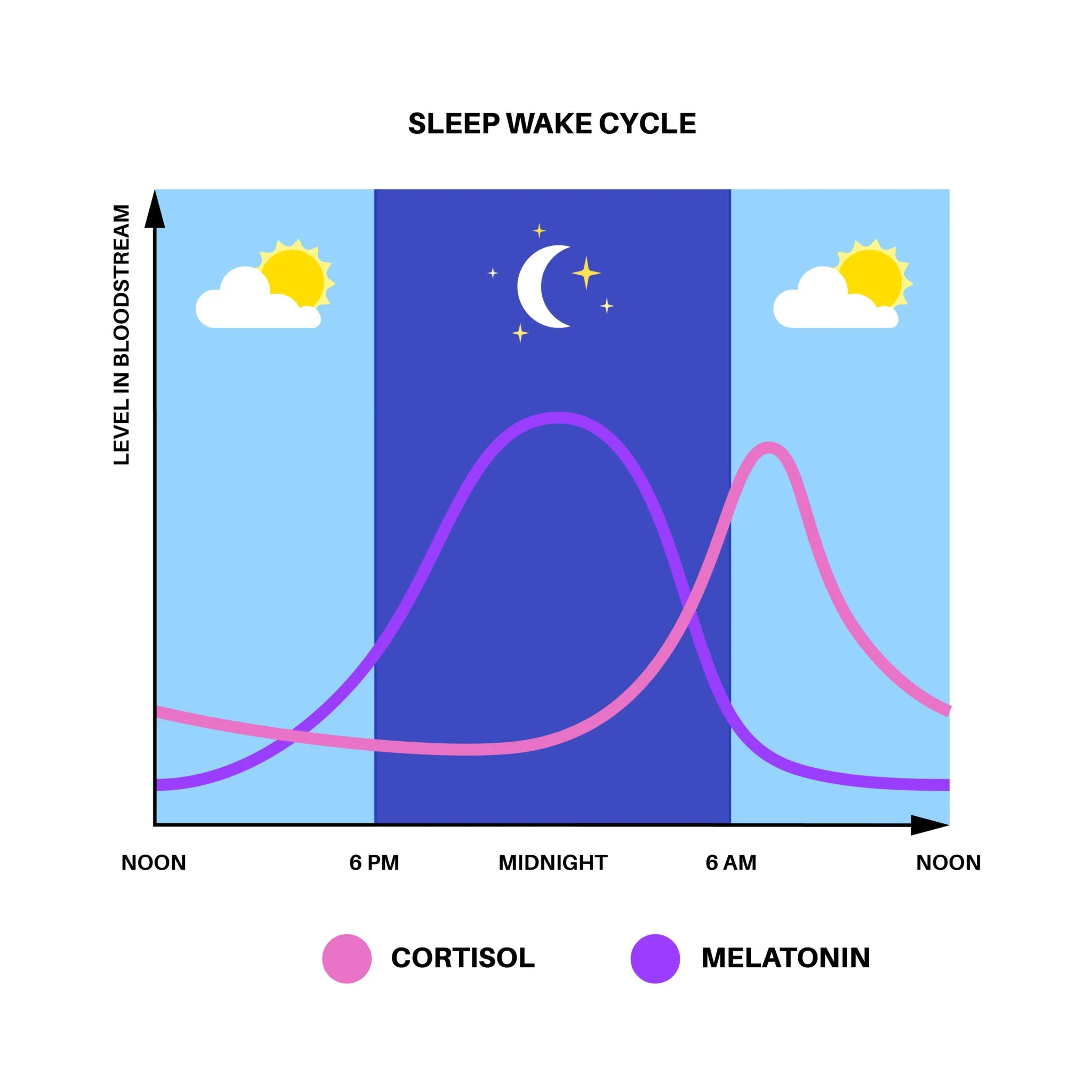 Image of a diagram illustrating the relationship between natural sunlight, melatonin, and serotonin levels in the brain, and how reduced light exposure disrupts this balance