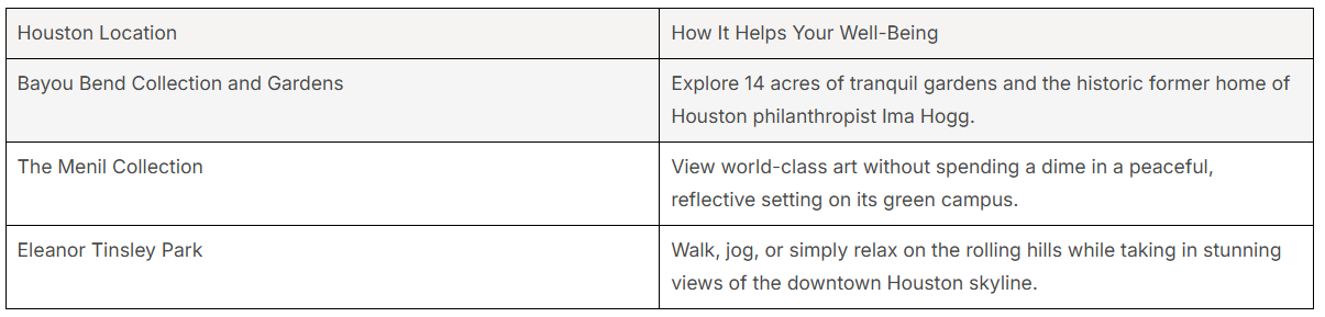 Leverage Houston’s Resources for Mental Health Support