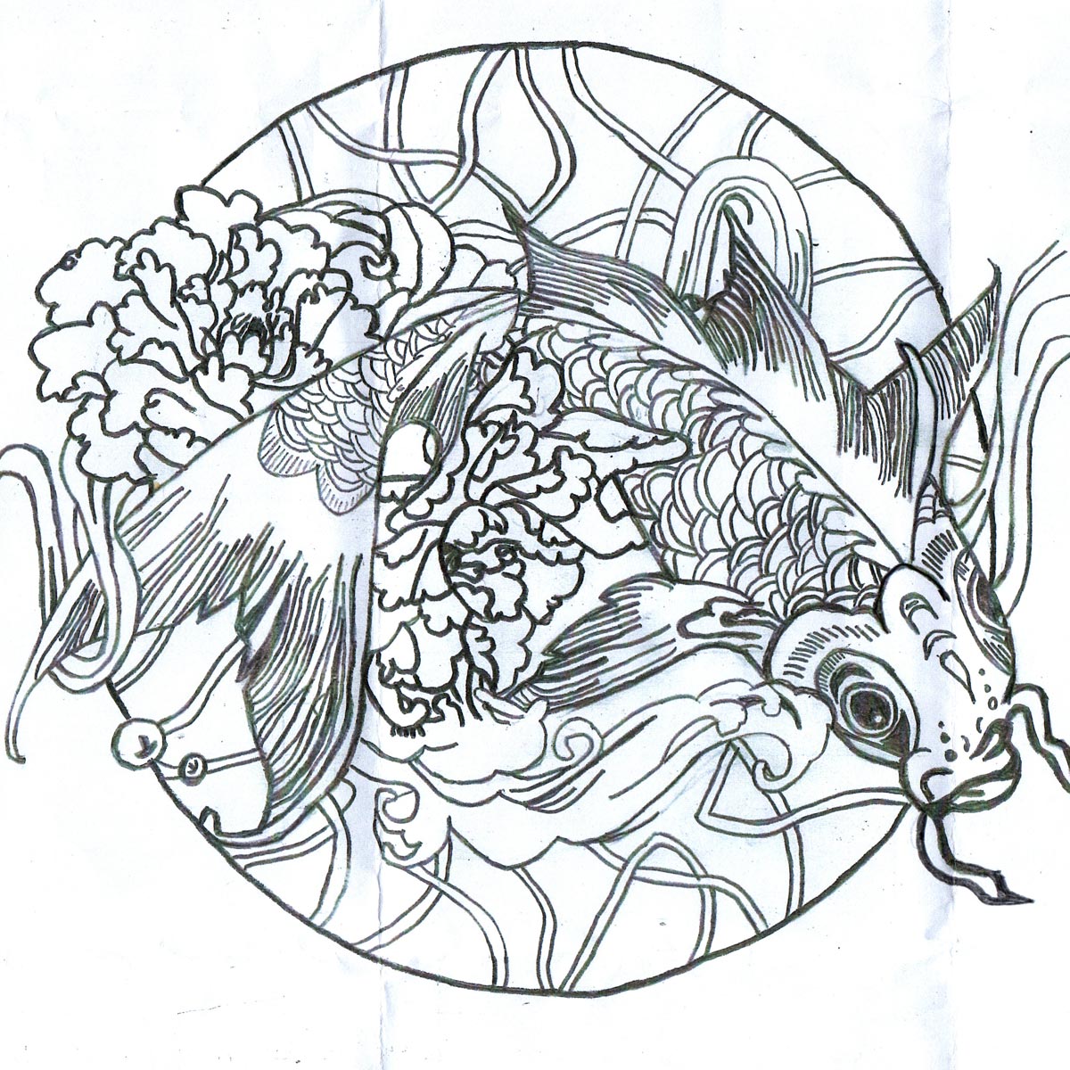 A pen line illustration of a koi fish, with a spiral shaped backdrop.