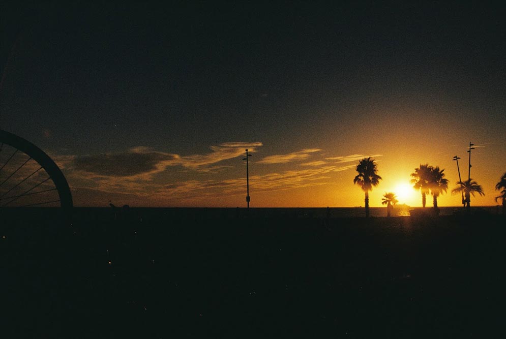 An image of a sunset, over an ocean. There are palm trees silhouetted against the setting sun.