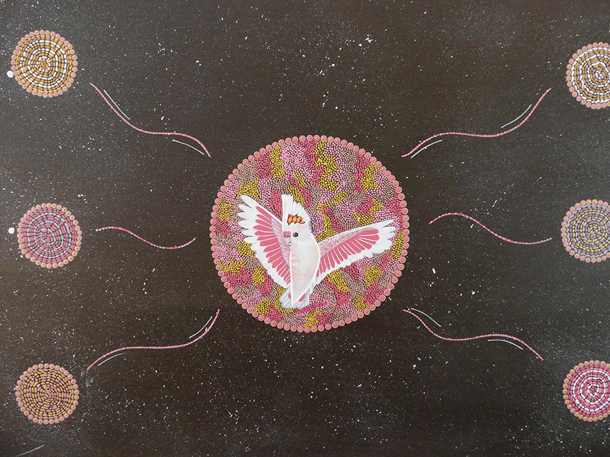 A First Nation's artwork piece of a cockatoo in the centre of a brown background and dot pattern. Paint on canvas.