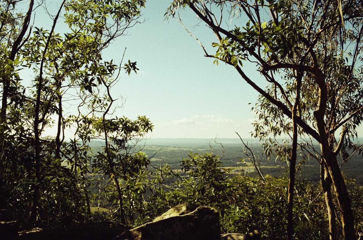 A photo taken from a high vantage point, looking out over a big valley of trees.