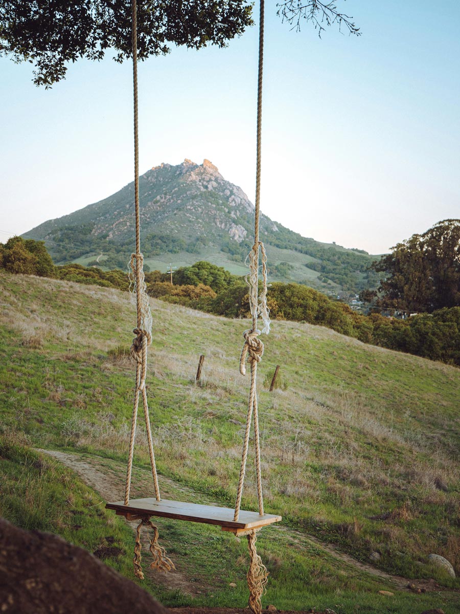 An image of a rope swing on top of a hill.