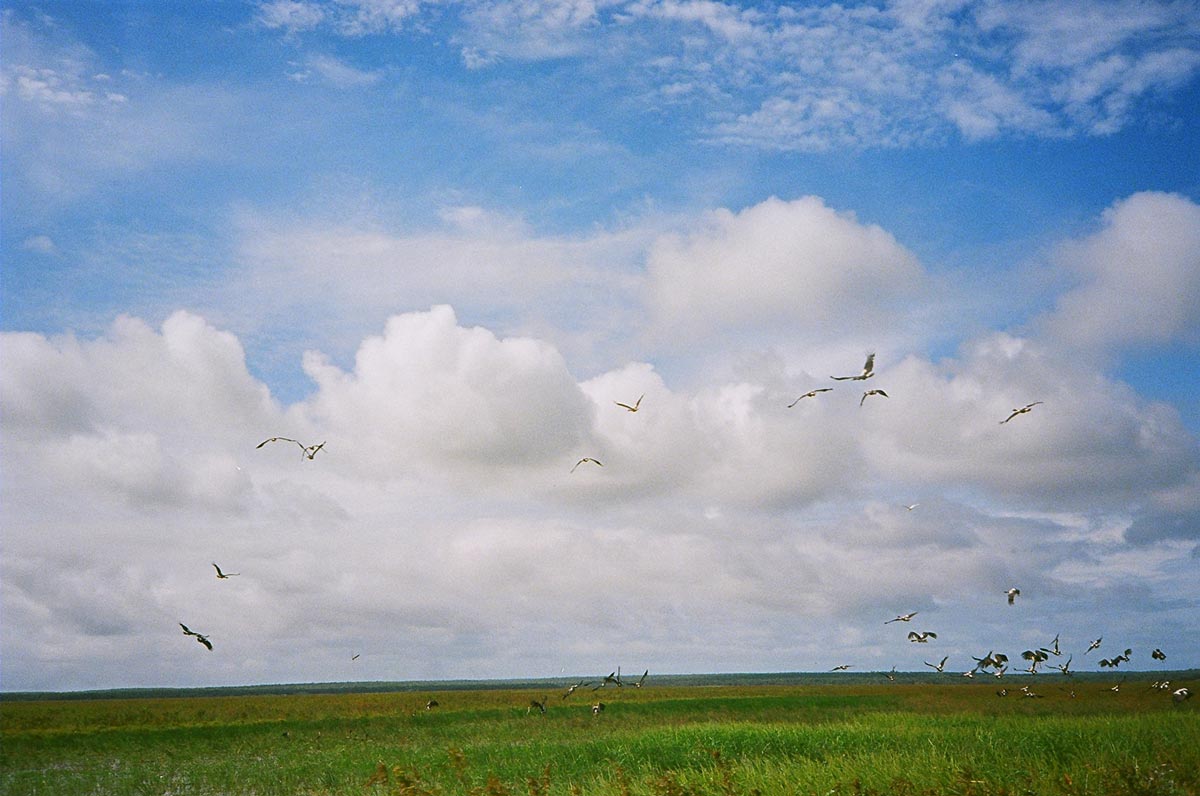 An image of a clear blue sky with grey clouds, over the top of a green grassy hill.