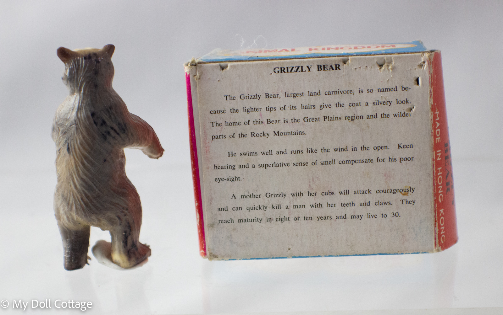 Rear view of Grizzly Bear showing text panel on box describing the species.