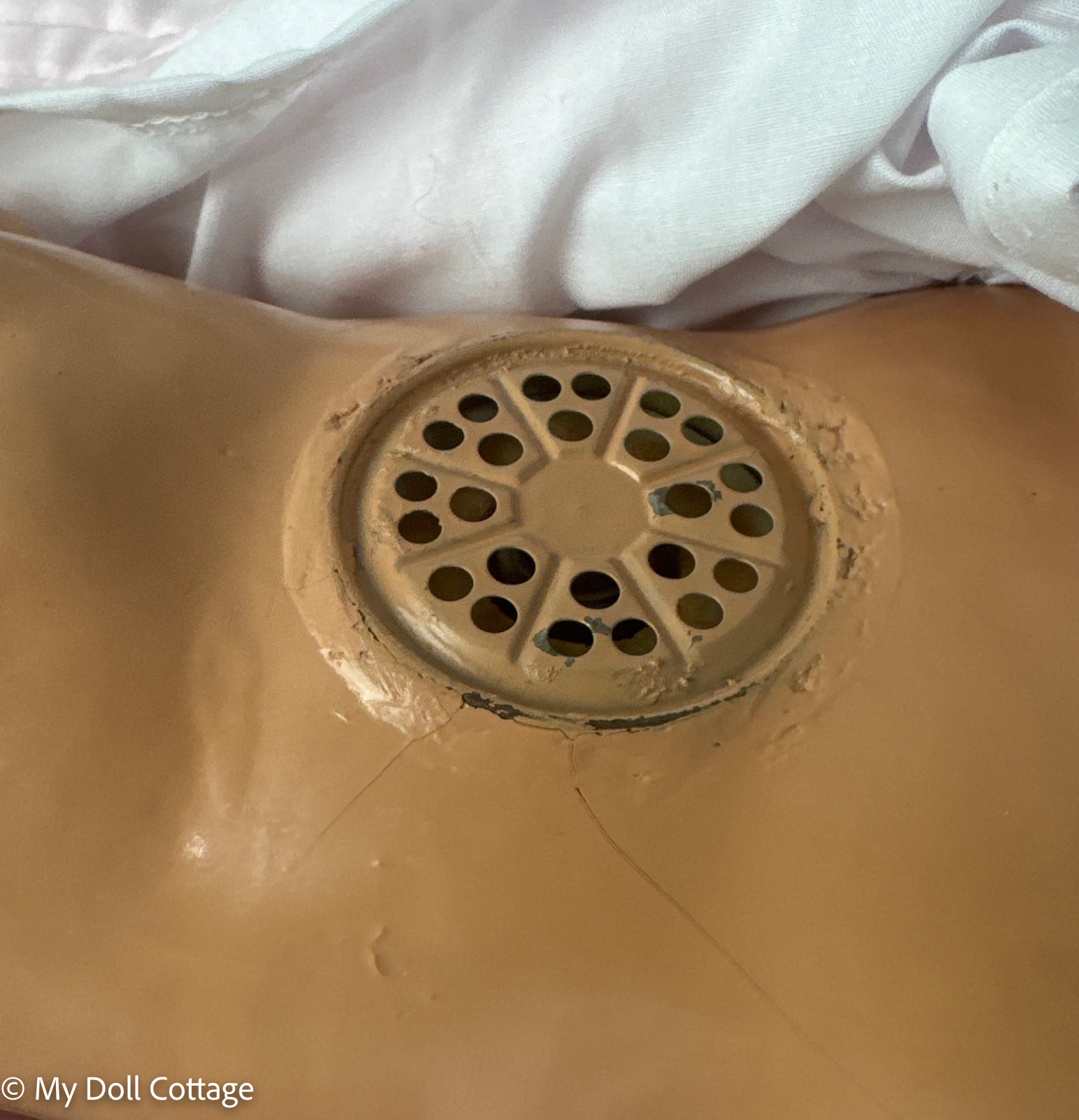 Undressed body showing composition torso and crier