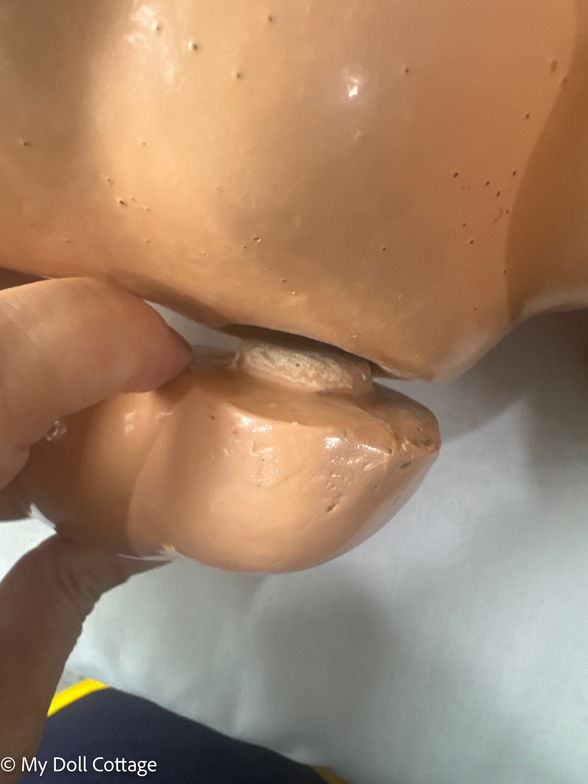 Close-up of arm join