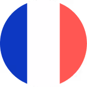 The French flag