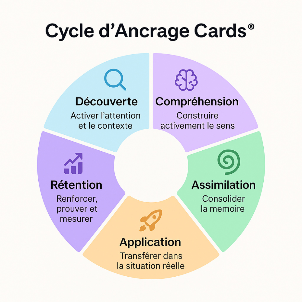 Diagramme circulaire des cinq étapes du Cycle d’Ancrage Cards: Découverte, Compréhension, Assimilation, Application, Rétention, chacune avec une icône et une description.