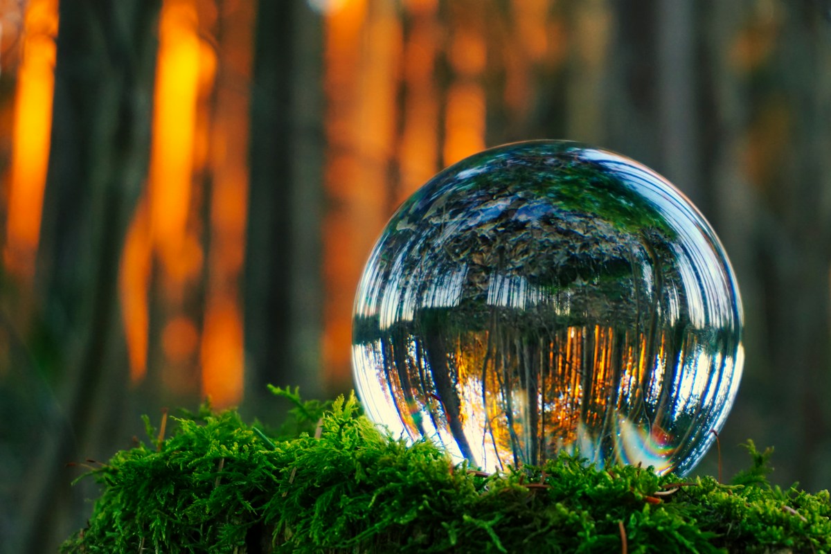 Boule de cristal en forêt au coucher du soleil, prédictions RH 2023 relues en 2026