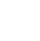 System