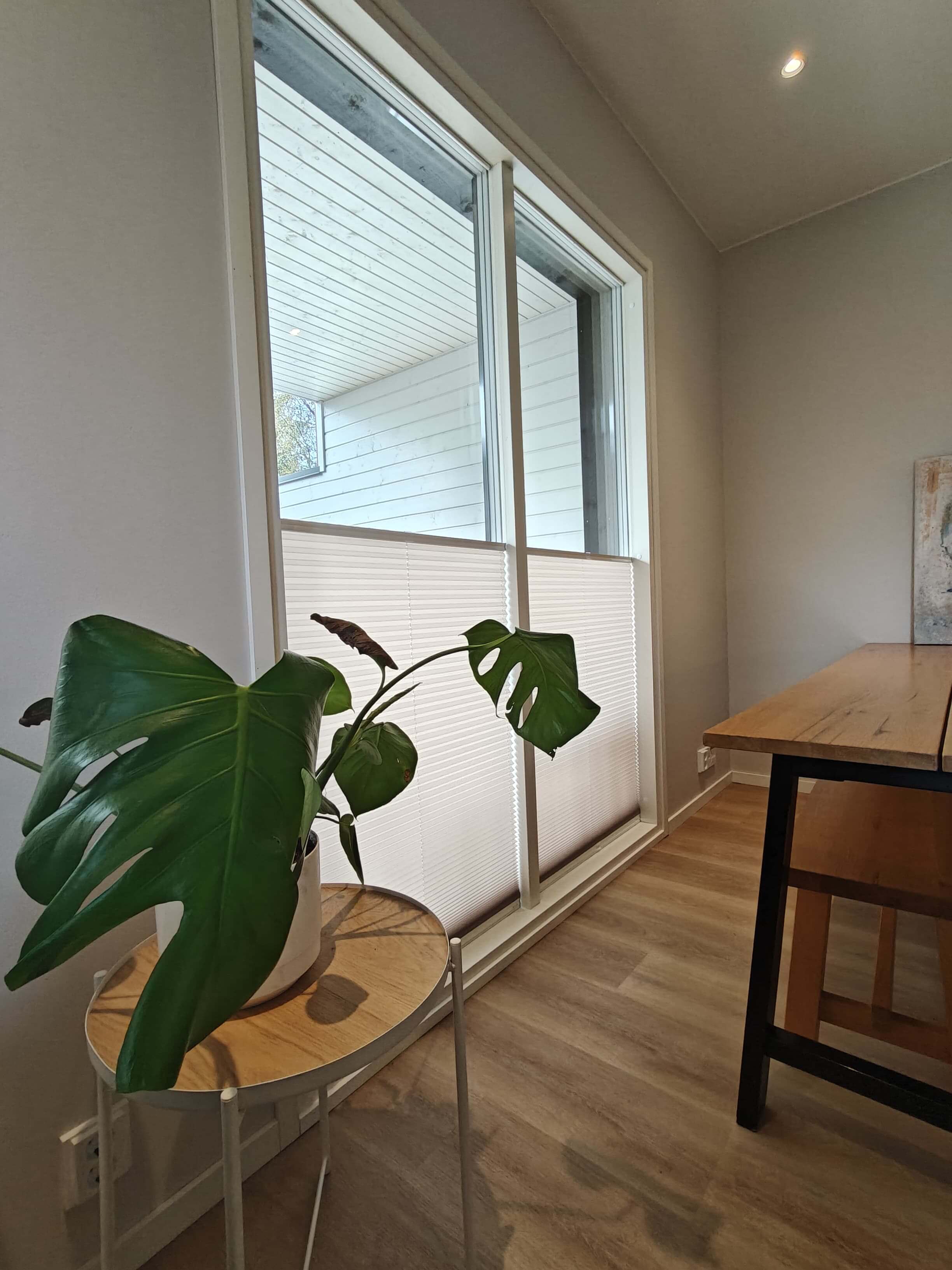 Sisätilan nurkkaus, jossa on suurella pyöreällä pöydällä valkoinen ruukku, jossa suuri vihreä viikunapuun lehti, ikkuna osittain verhoiltu.