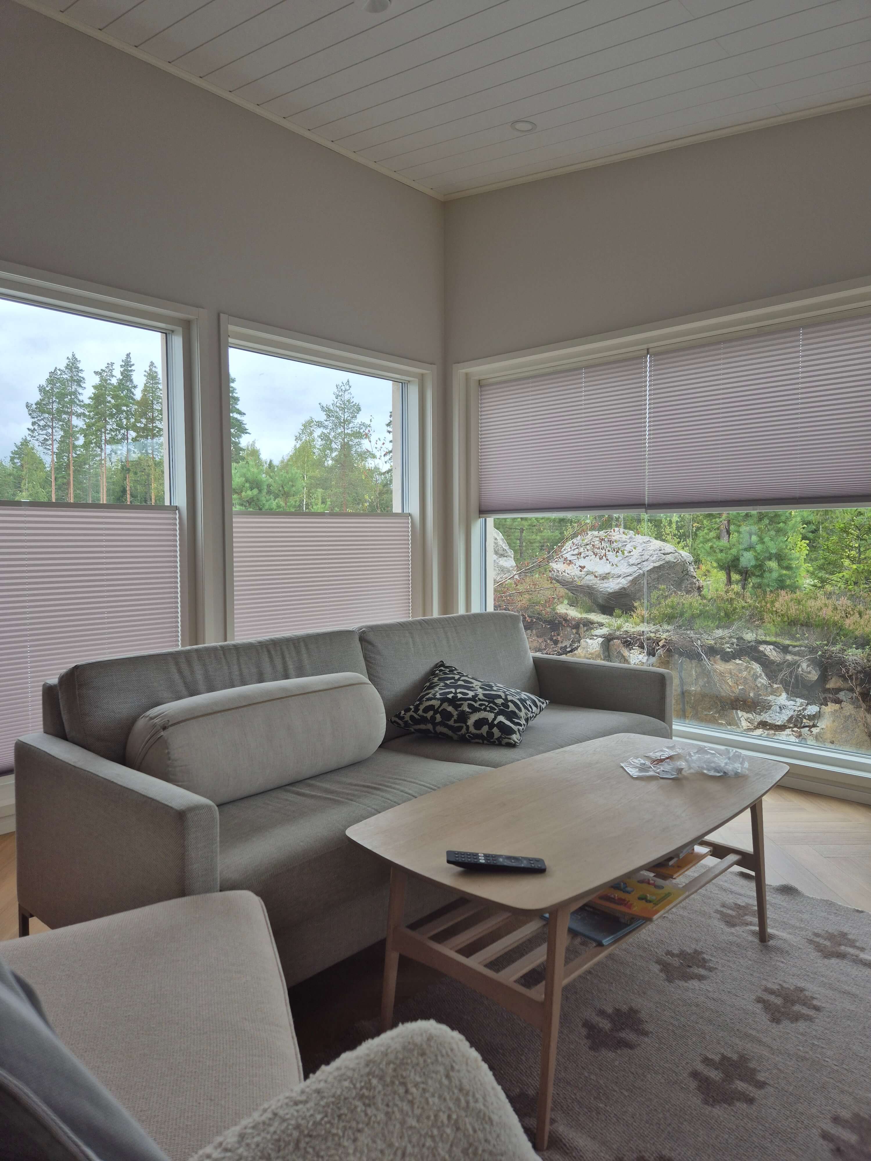 Makuuhuone, jossa on harmaa sohva, koristetyyny, puinen sohvapöytä ja suuret ikkunat, joista näkyy metsä ja kalliota.