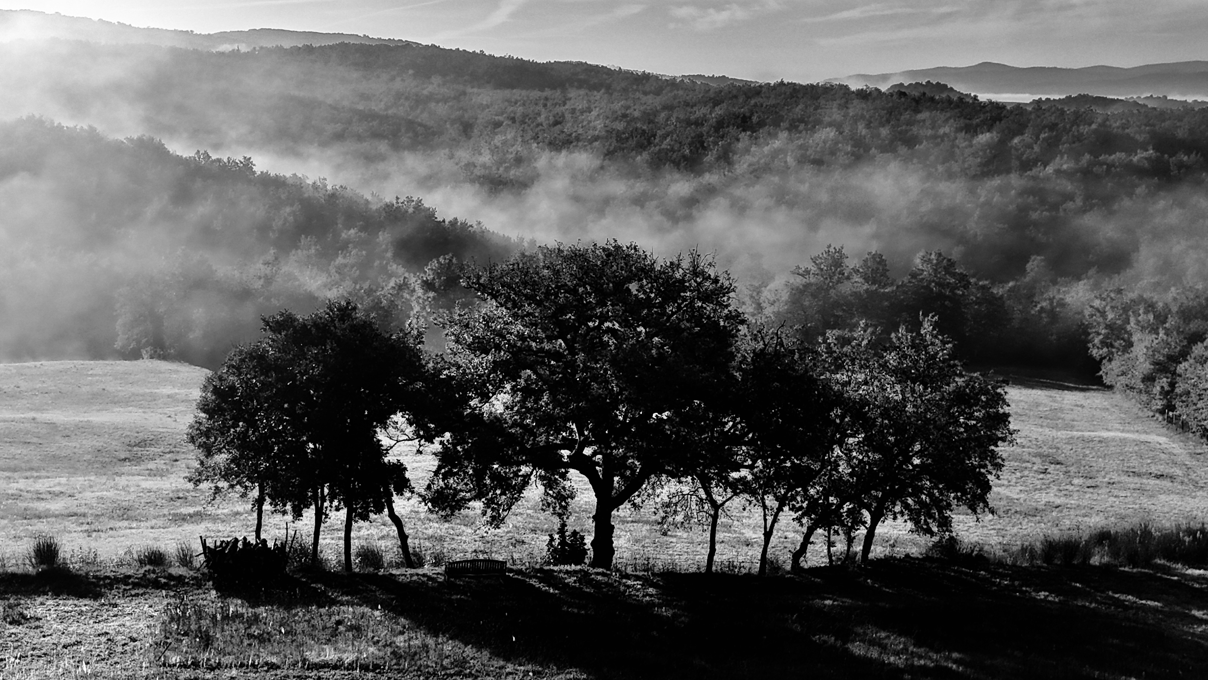 Tenuta Le Mandrie