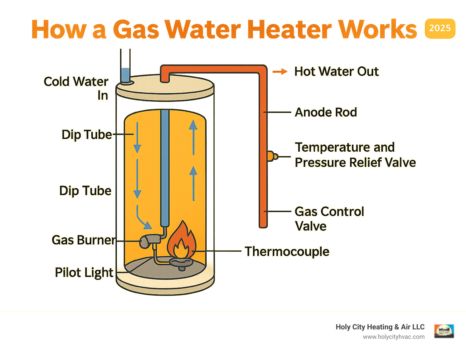 Detailed infographic showing how a gas water heater works, with cold water entering through the dip tube at the top, sinking to the bottom where the gas burner heats it, then rising as hot water through the heat-out pipe, including labeled components like the pilot light, thermocouple, gas control valve, temperature and pressure relief valve, and anode rod - gas hot water system repairs infographic 