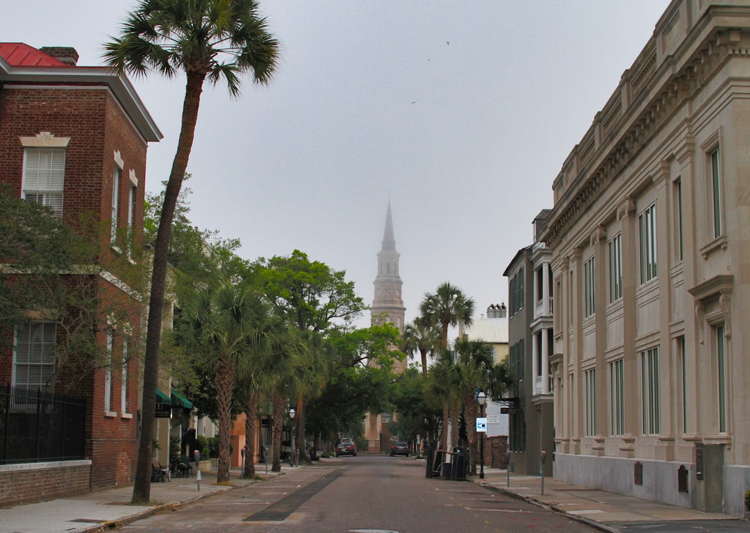 Scenic Charleston street with historic homes - charleston furnace services