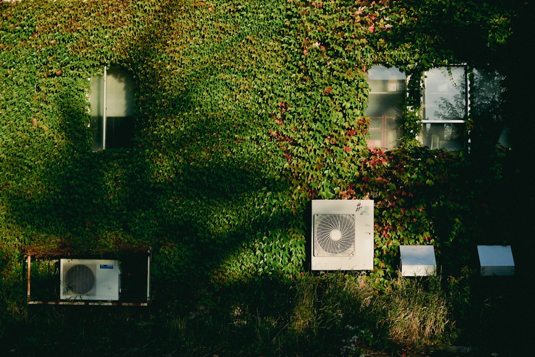 A clean outdoor condenser unit surrounded by well-maintained landscaping - how often should you service your hvac A clean outdoor condenser unit surrounded by well-maintained landscaping - how often should you service your hvac