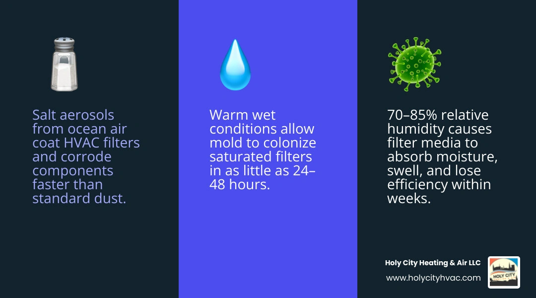 Infographic showing how humid subtropical coastal climate stressors impact HVAC filter lifespan: salt air, high humidity Infographic showing how humid subtropical coastal climate stressors impact HVAC filter lifespan: salt air, high humidity