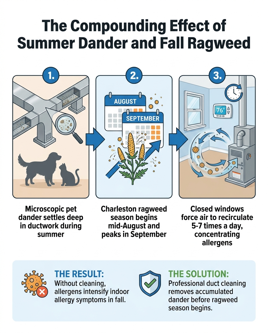 The Compounding Effect of Summer Dander and Fall Ragweed