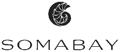 Sponsor Image