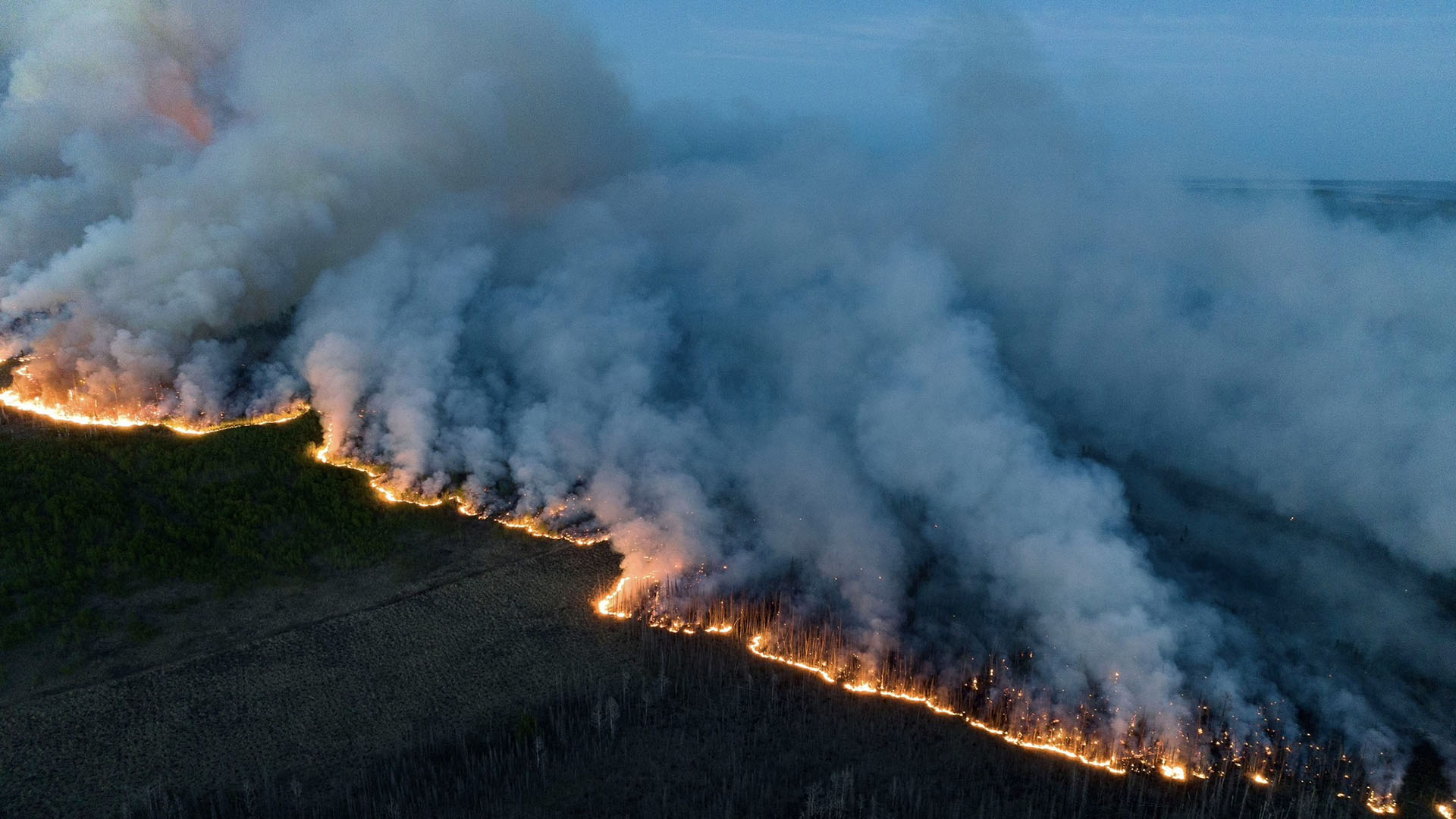 Aerial view of a forest wildfire with a long line of flames and thick smoke covering the area.