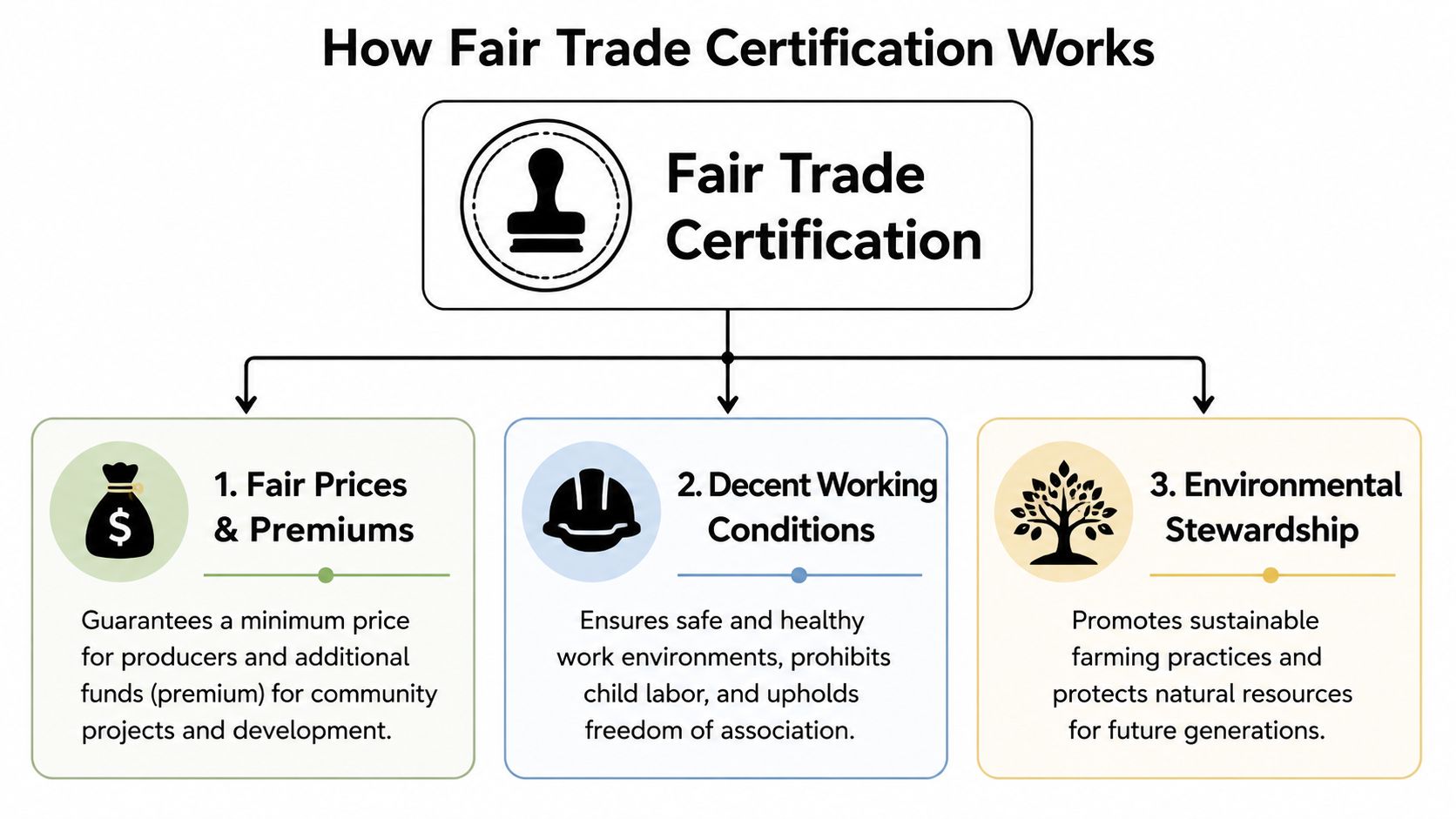 A diagram explaining how Fair Trade certification promotes fair pricing, decent working conditions, and environmental stewardship.
