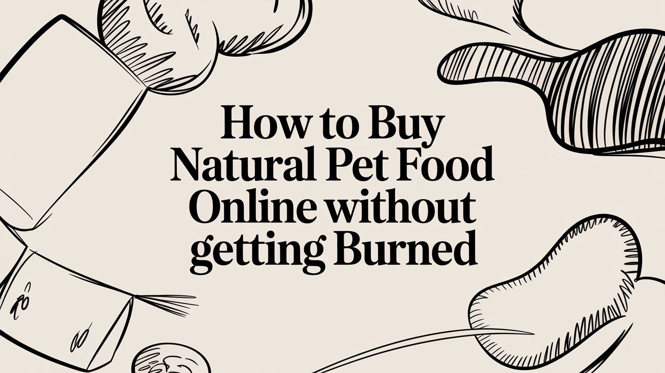 How to Buy Natural Pet Food Online Without Getting Burned