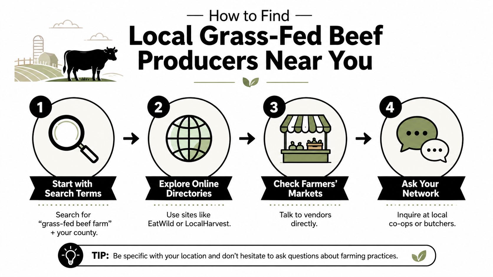 A step-by-step infographic on how to find local grass-fed beef producers near you using search and networking.