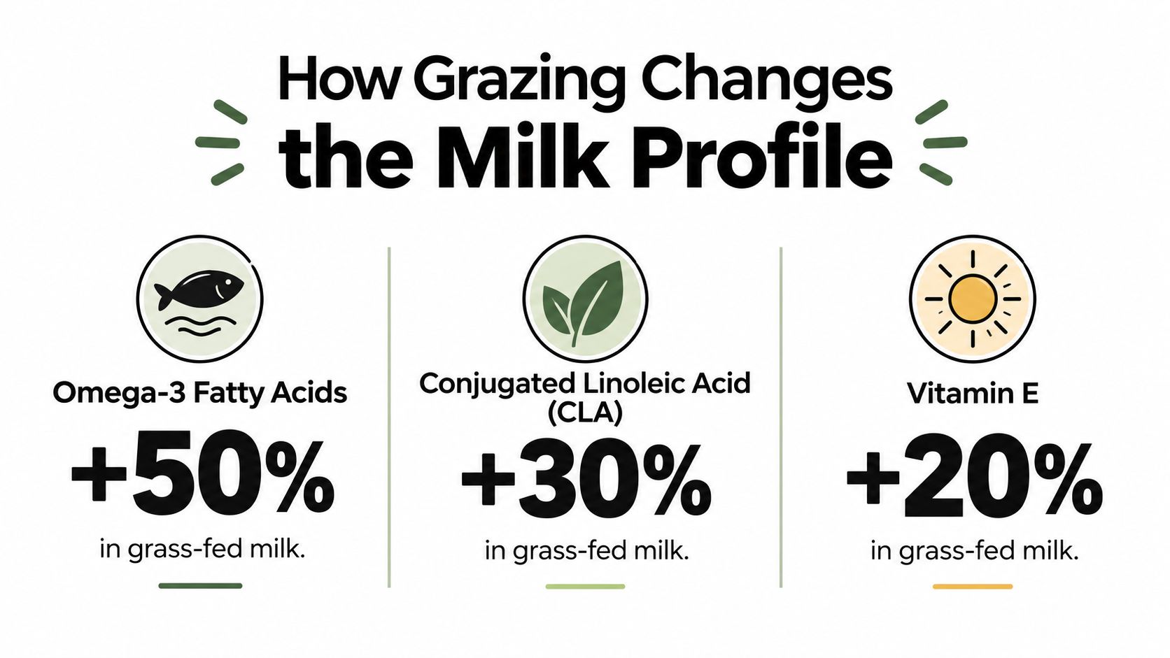 An infographic showing that grass-fed milk contains more Omega-3, CLA, and Vitamin E than conventional milk.