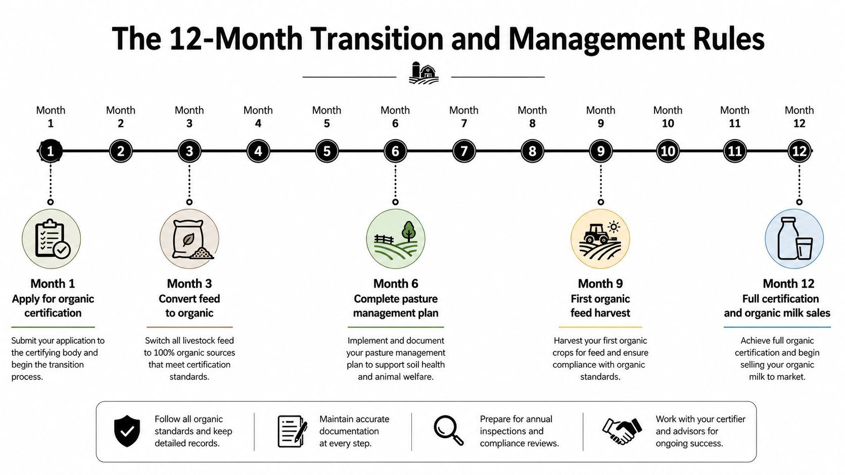 A 12-month transition timeline infographic showing steps for dairy farms to achieve full organic certification.