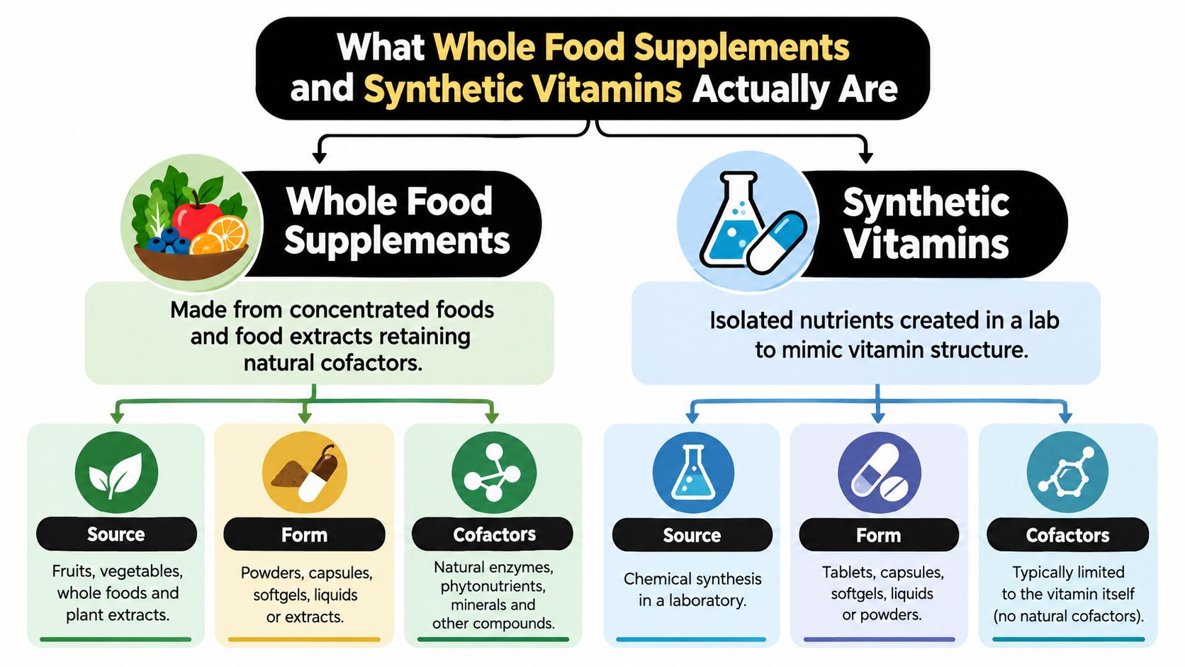 A comparison chart explaining the differences between whole food supplements and synthetic vitamins, highlighting their sources and compositions.