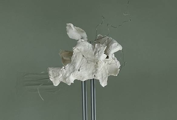 Afbeelding met kunst, vaas, muur, overdektDoor AI gegenereerde inhoud is mogelijk onjuist.