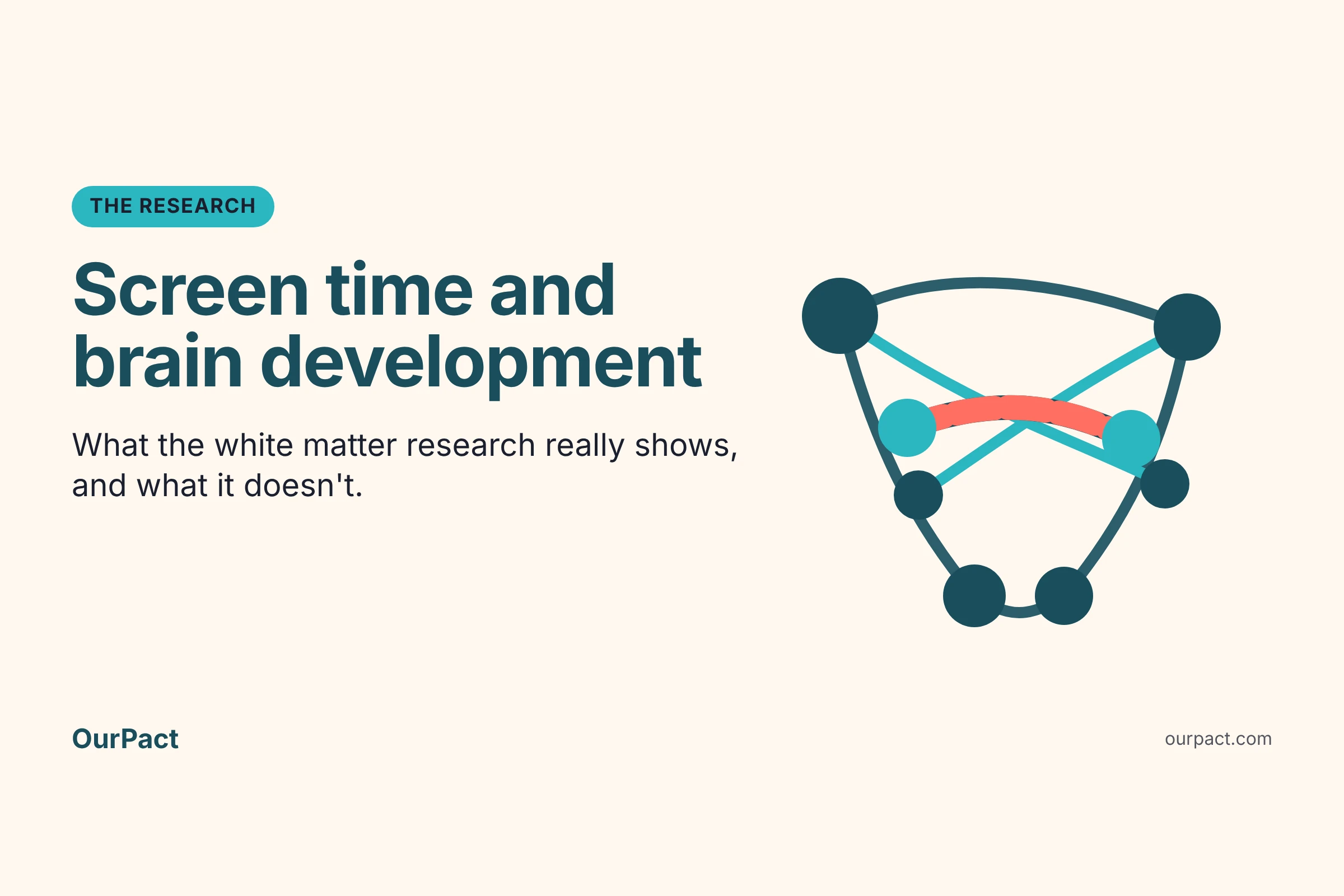 Title card reading "Screen time and brain development: what the white matter research really shows," with an abstract illustration of connected nodes and pathways.