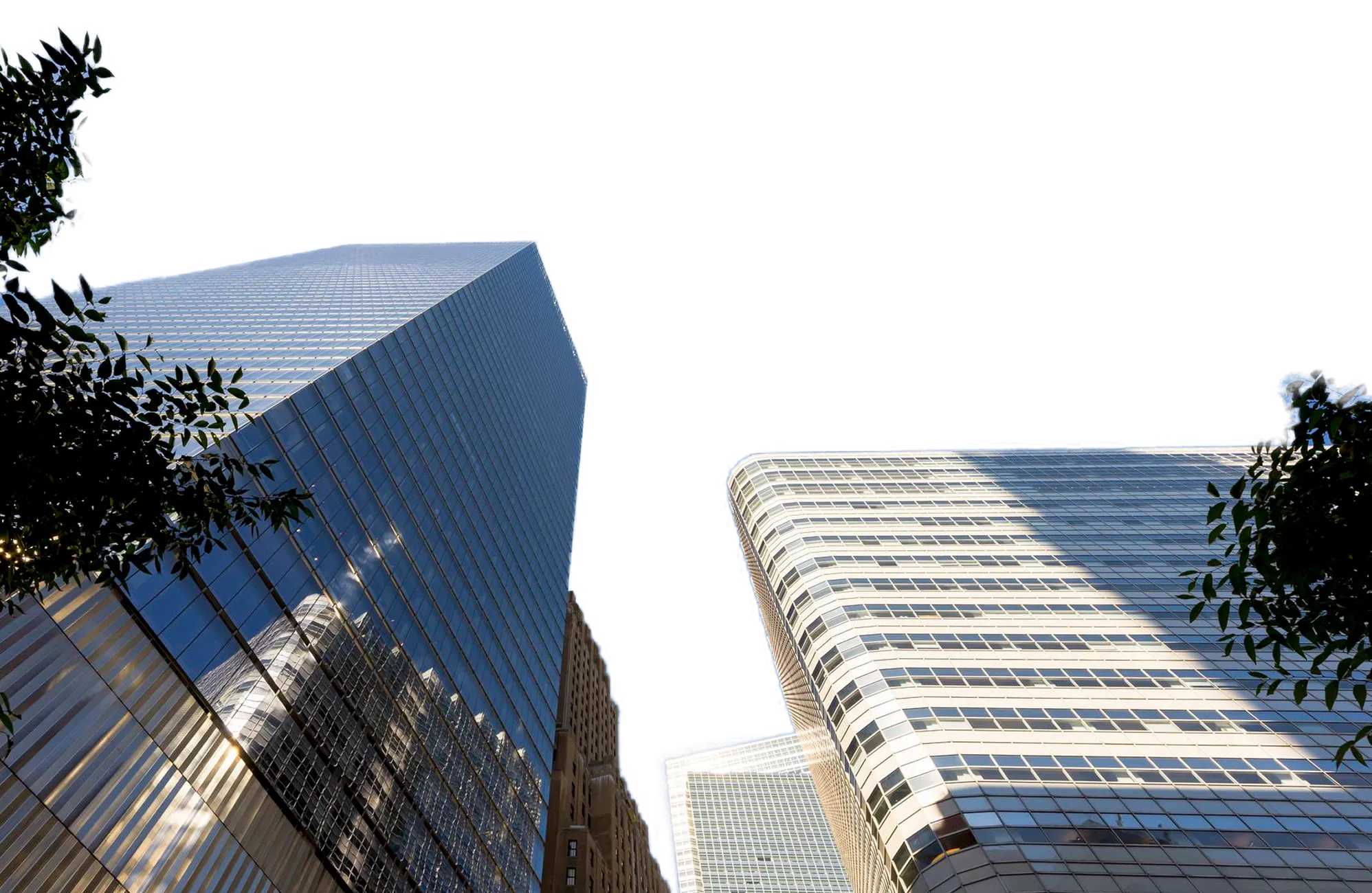 Upward view of modern skyscrapers with reflective glass windows against a clear sky, framed by tree branches.
