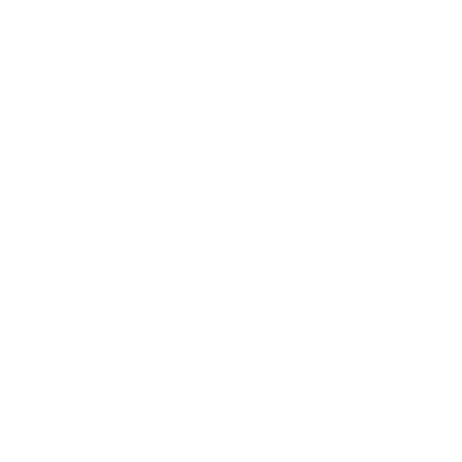 Perimeter security