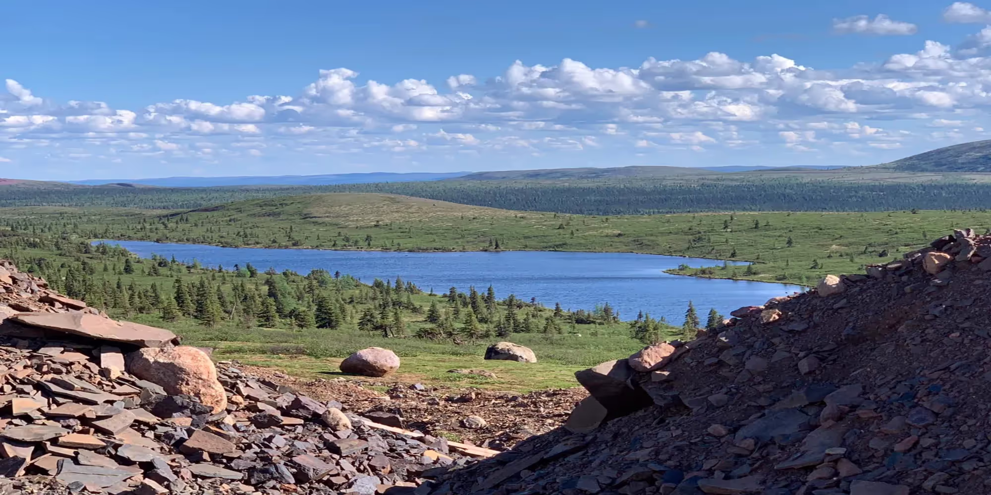 Add description here